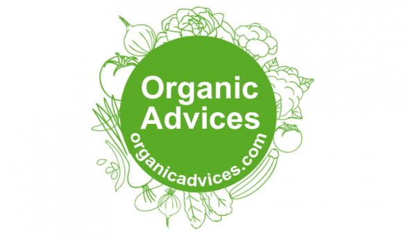 Terrace Farming Kerala Website Terrace Farming Kerala Website