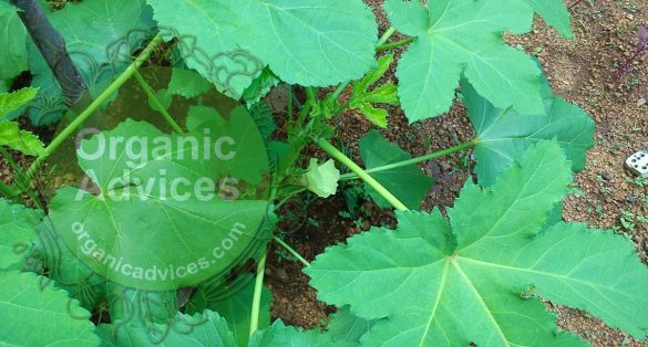 low cost home composting unit low cost home composting unit