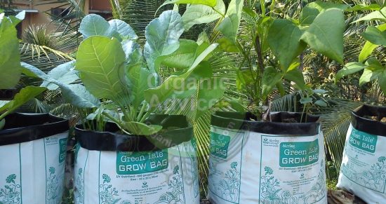 filling grow bags procedure filling grow bags procedure