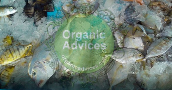 fish amino acid usage details fish amino acid usage details