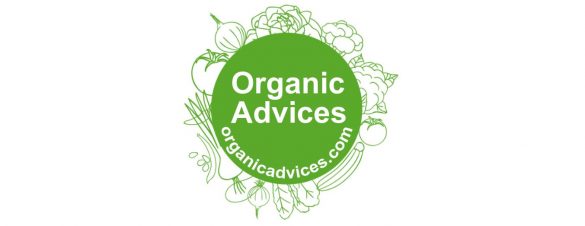 organic fertilizer using banana peel organic fertilizer using banana peel