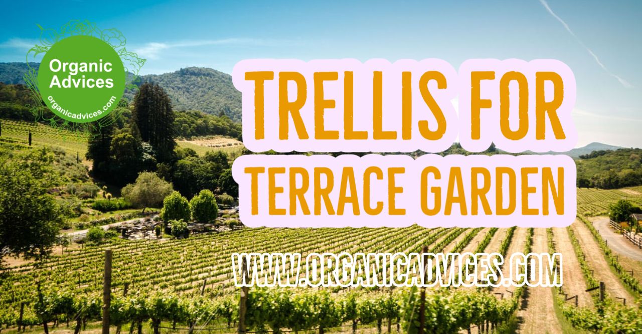 Easy Trellis For Farm