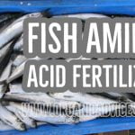 Fish Amino Acid Fertilizer Usage