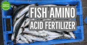 Fish Amino Acid Fertilizer Usage