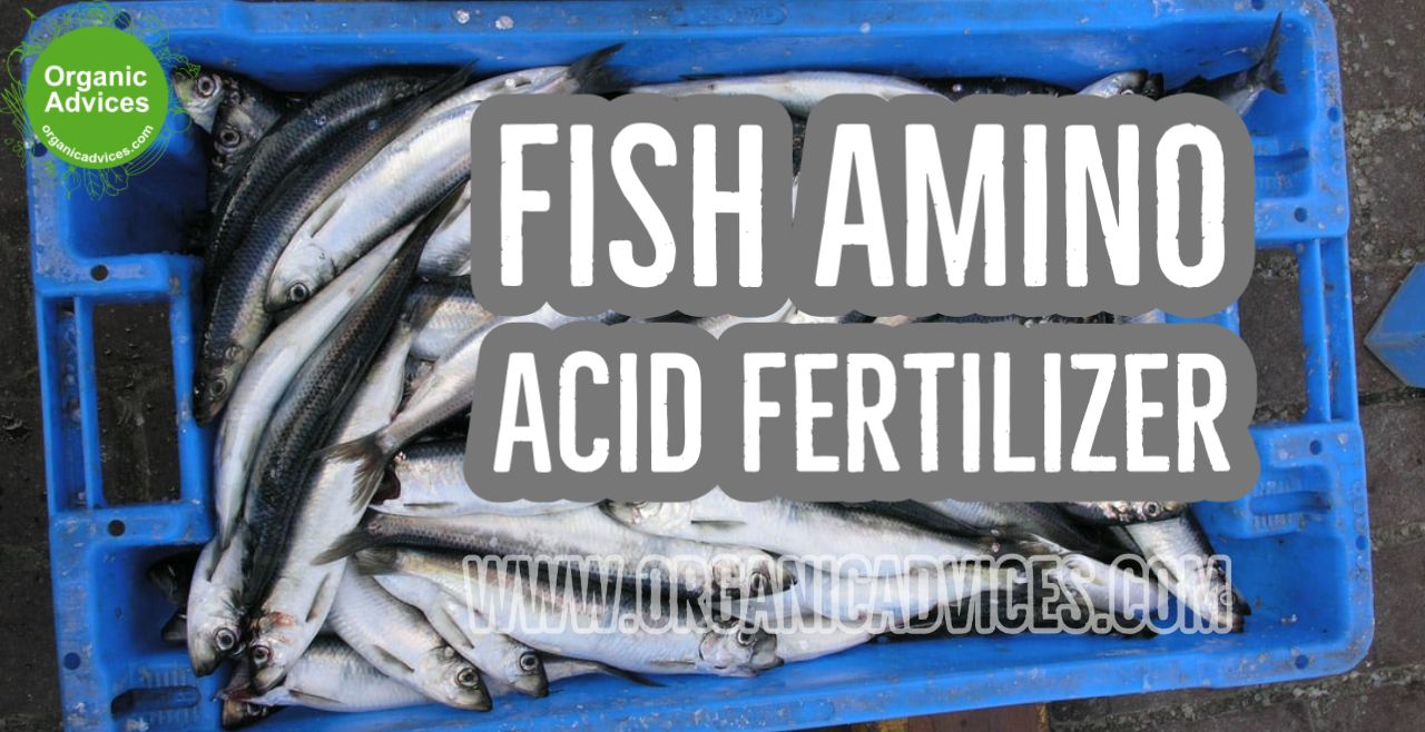 Fish Amino Acid Fertilizer Usage