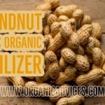 Groundnut Cake As Organic Fertilizer