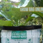 Grow Bag Online Purchase