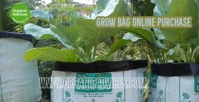 Grow Bag Online Purchase Grow Bag Online Purchase