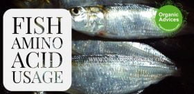 Fish Amino Acid