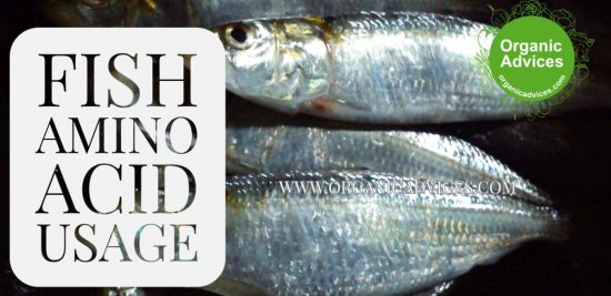 Fish Amino Acid