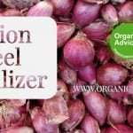 Low Cost Home Made Fertilizers from Onion Peel