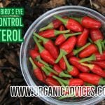 Natural Cholesterol Reducers