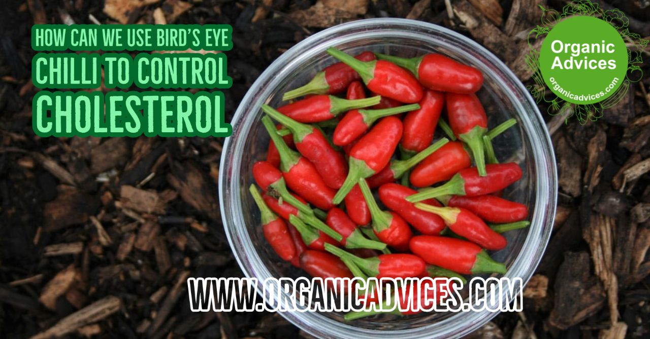 Natural Cholesterol Reducers