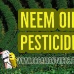 Neem Oil Pesticide Usage