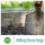 Perfect Potting Mixture for Vegetable Gardening