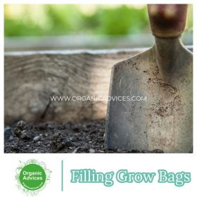 Filling Grow Bags For Organic Farming