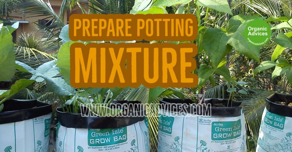 Prepare Potting Mixture
