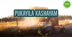 Pukayila Kashayam Pukayila Kashayam