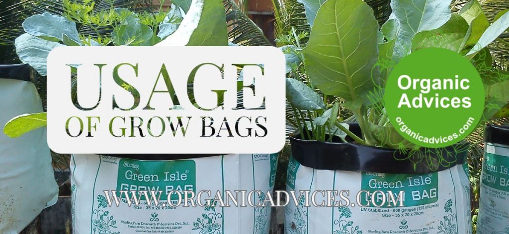 Vegetetabels at Grow Bags Vegetetabels at Grow Bags