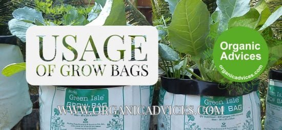 Vegetetabels at Grow Bags