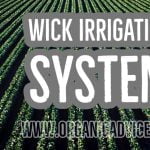 Wick Irrigation System Terrace Garden
