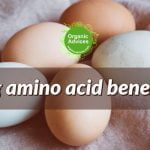 egg amino acid fertilizer benefits