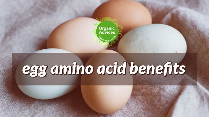 egg amino acid fertilizer benefits