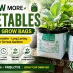 Grow Bags for Vegetable Gardening – Complete Guide to Growing Plants in Grow Bags (Video)