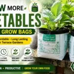 Grow Bags for Vegetable Gardening – Complete Guide to Growing Plants in Grow Bags (Video)
