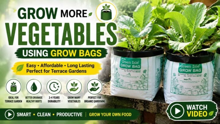 Grow Bags for Vegetable Gardening - Complete Guide to Growing Plants in Grow Bags (Video) Grow Bags for Vegetable Gardening - Complete Guide to Growing Plants in Grow Bags (Video)