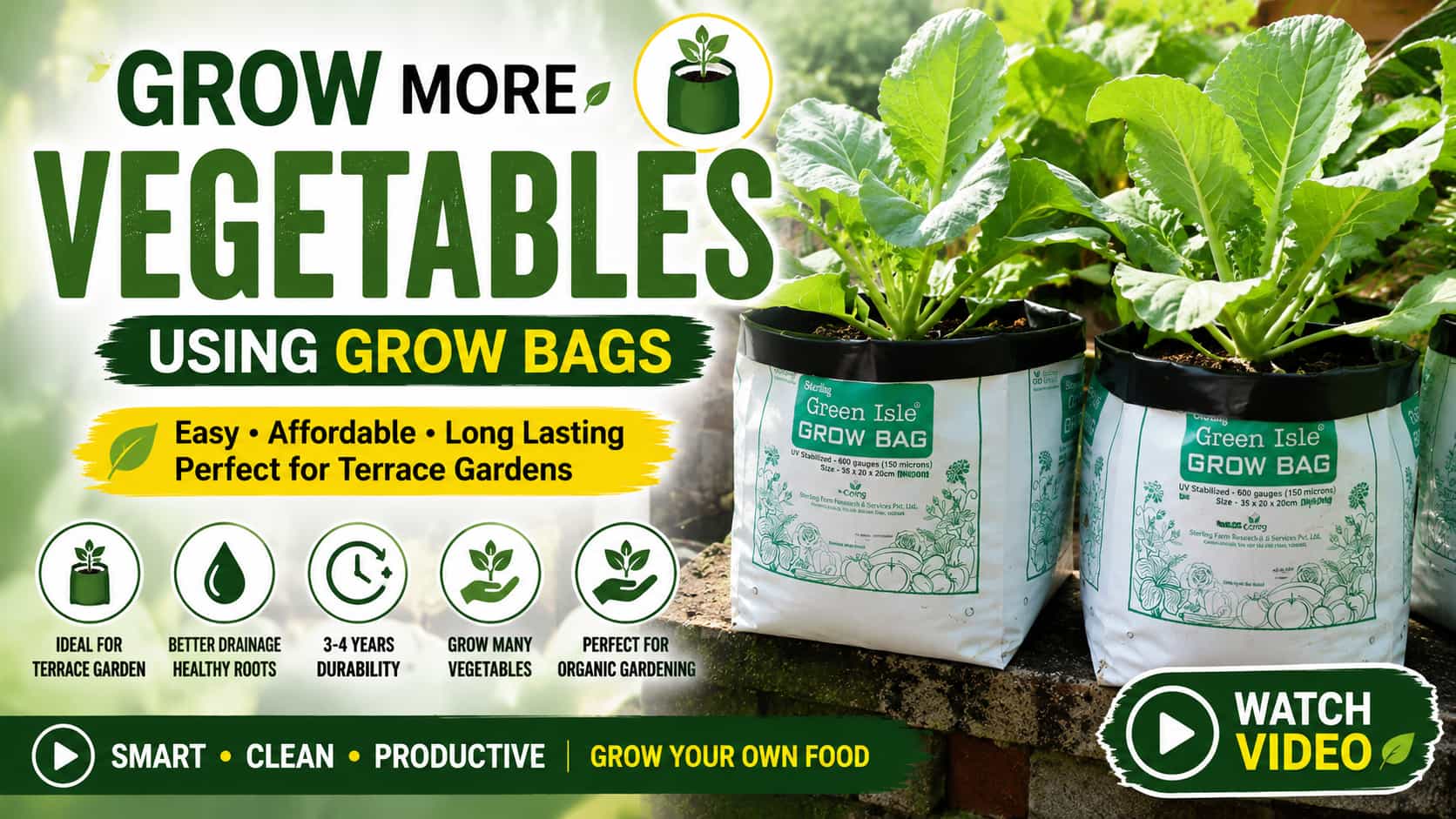 Grow Bags for Vegetable Gardening - Complete Guide to Growing Plants in Grow Bags (Video)