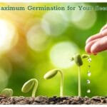 Maximum Germination for Your Seeds