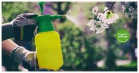 Organic Pesticides For Plants