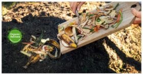 Transform waste into compost