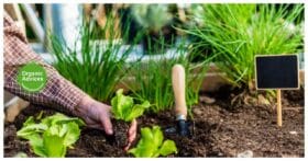 world of creative farming ideas world of creative farming ideas