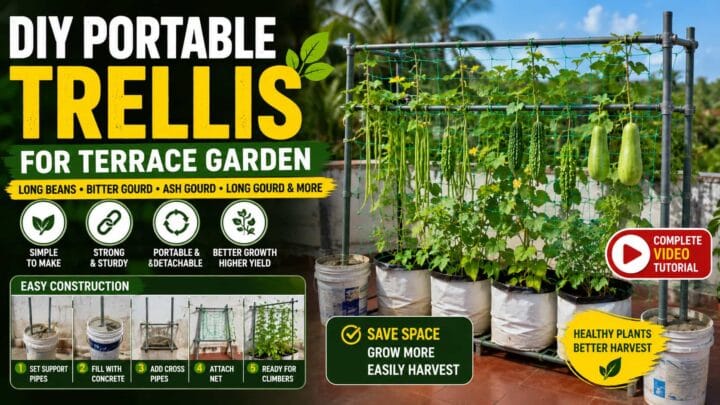 DIY Portable Trellis for Terrace Gardens DIY Portable Trellis for Terrace Gardens