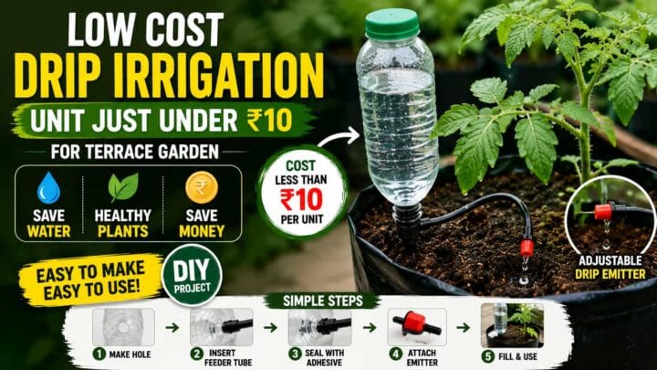 Low-Cost Drip Irrigation System for Terrace Gardens โ Build One for Under โน10 Low-Cost Drip Irrigation System for Terrace Gardens โ Build One for Under โน10