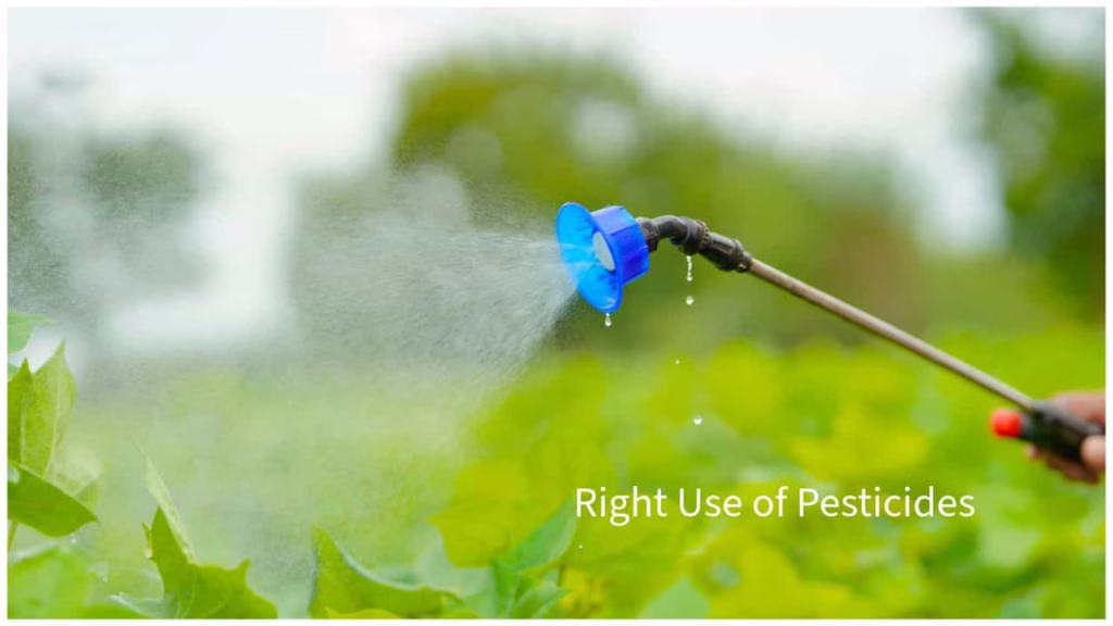 Right Use of Pesticides