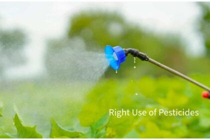 Right Use of Pesticides