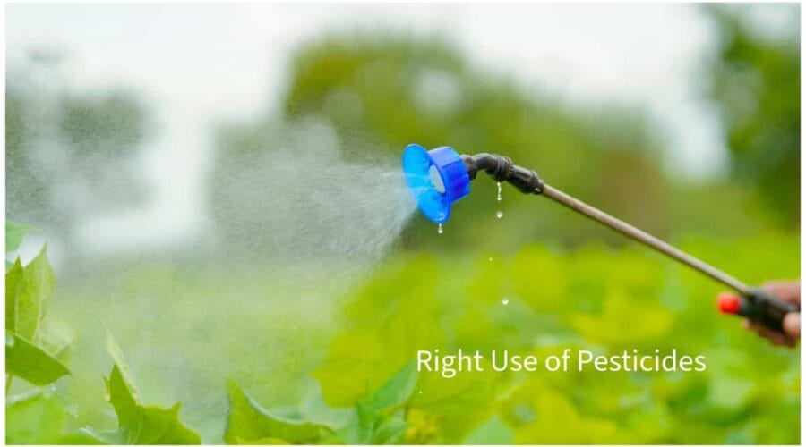 Right Use of Pesticides