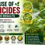 Proper Use of Pesticides in Vegetable Gardens – Best Practices for Effective Pest Control