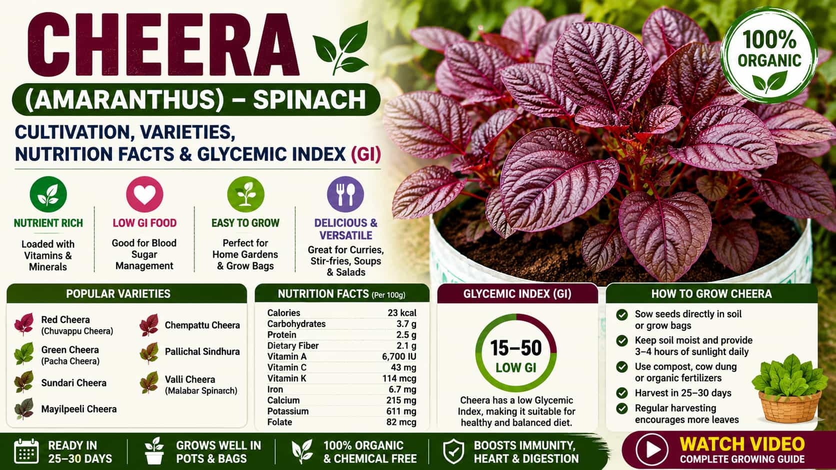 Cheera (Amaranthus) - Growing Guide, Varieties, Nutrition Facts & Glycemic Index (GI)