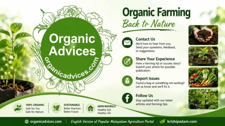 Welcome to the Contact Us page of OrganicAdvices.com. We value your feedback, suggestions, and contributions. If you have any questions, farming experiences to share, or would like to report an issue with our website, we'd love to hear from you. Welcome to the Contact Us page of OrganicAdvices.com. We value your feedback, suggestions, and contributions. If you have any questions, farming experiences to share, or would like to report an issue with our website, we'd love to hear from you.