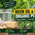 Neem Oil and Garlic Organic Pesticide – How to Prepare a Natural Pest Control Solution