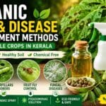 Organic Pest and Disease Management Methods for Vegetable Crops in Kerala